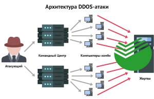 DDoS-   