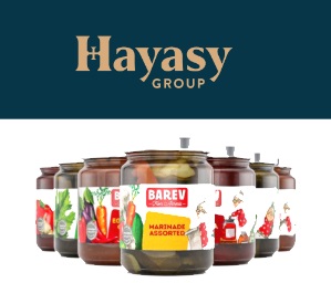 Hayasy group  